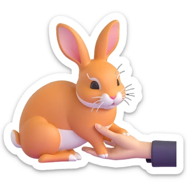 person petting rabbit sticker