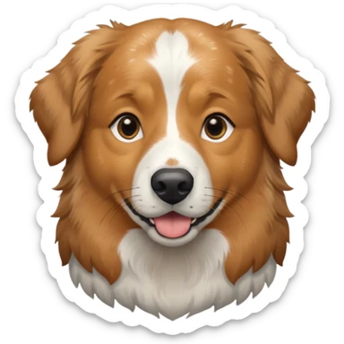 Australian Shepherd golden retriever tan eyebrows around nose and mouth black and speckled grey fur on chest. No white  sticker