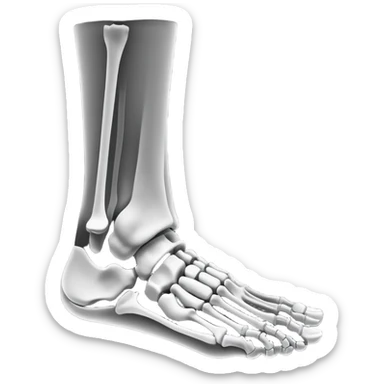 x-ray of foot bones, medical scan of foot skeleton sticker