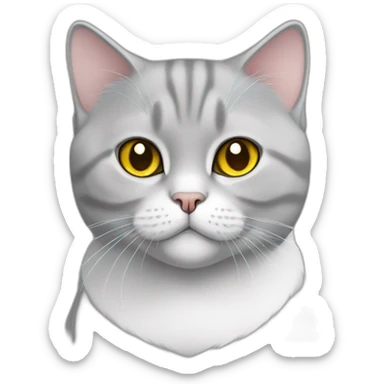 A british shorthair cat in schildpatt with white bless and with yellow eyes sticker