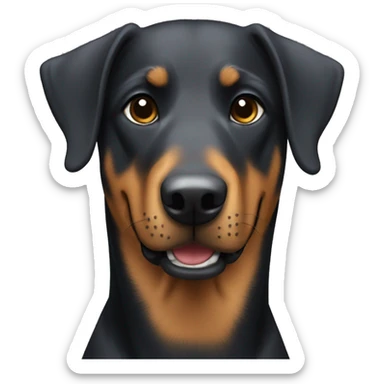 Beauceron dog with short cropped ears  sticker