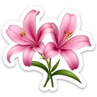 Pfingstrosen und pinke Lilien sticker