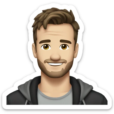 Liam payne  sticker