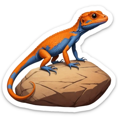 red-headed rock agama (Agama agama) sticker