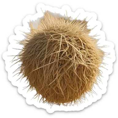 Tumbleweed in the desert sticker