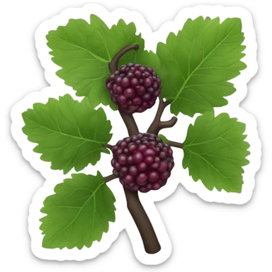 black mulberry sticker