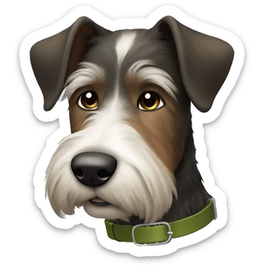 Black, brown and white wire-haired dog with an olive green collar sticker