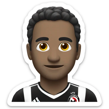 Beşiktaş Futbol sticker