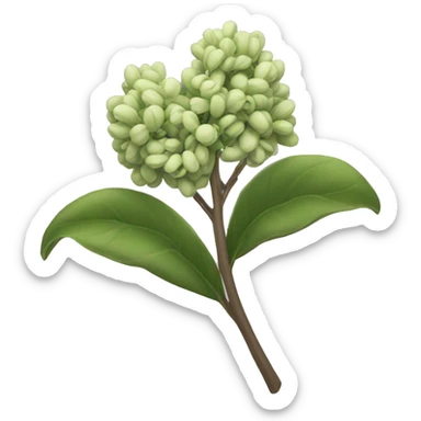 Green Lilac sticker