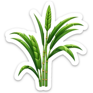 Sugarcane leaf sticker