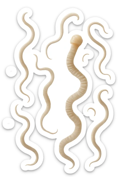 PARASSITI COME LA TENIA FLUTTUANO IN ARIA, iperrealistico 4k sticker