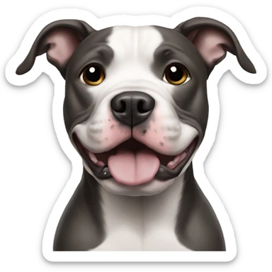 Pit bull with a Dallas Cowboys helmet  sticker