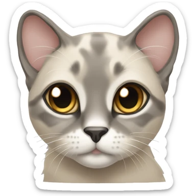 Gray-beige lop-eared cat sticker