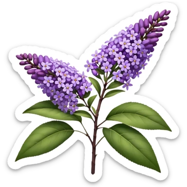 Summer Lilac: As one of the butterflies’ favorite flowers, summer lilac, also known as butterfly bush, is a fragrant and fast-growing plant sticker