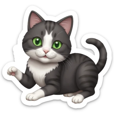beautiful female solid dark grey cat with green eyes, white toes/paws and white patch on her chest playfully rolling upside down sticker