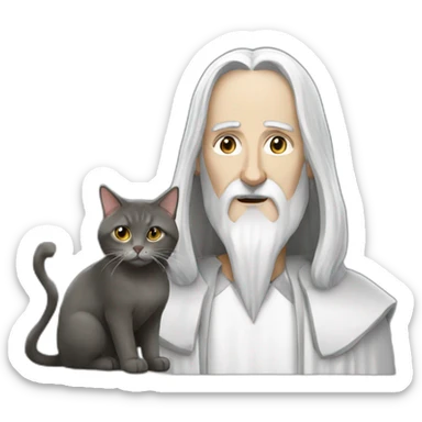 saruman wiht a cat sticker