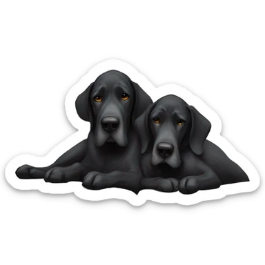 Two black Great Danes sleeping next to each other on a couch.  sticker