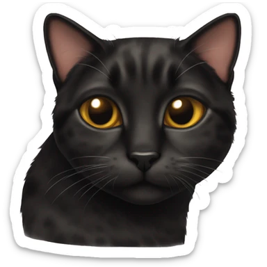 Tortie black cat sticker
