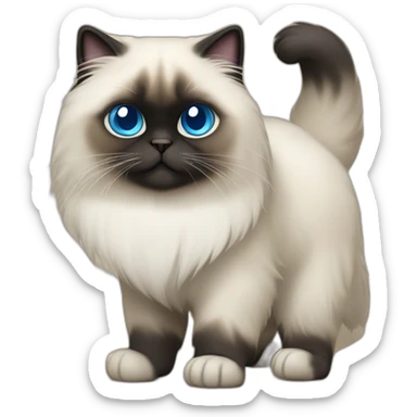 himalayan cat blue eyes dark face full body playing on back sticker