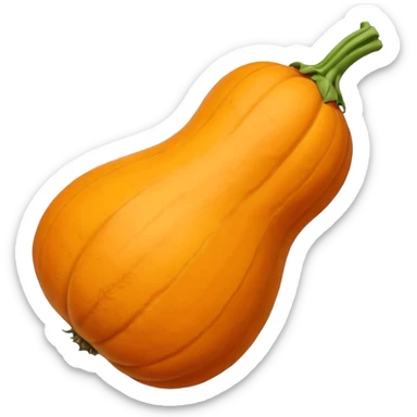 butternut suqash sticker