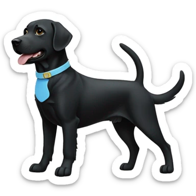 one labrador on the left black, smaller size. Another labrador on left black with a light blue collar. dog on right with red collar. sticker