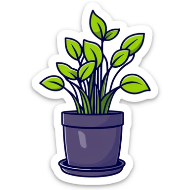 Young Plectranthus Verticillatus sprouts with circular coin-shaped leaves in a modern metallic planter sticker