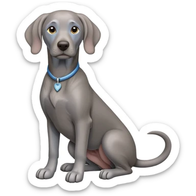 cinematic-[weimaraner]-realistic-full-body-sitting-emoji,-tail-resting-loosely-beside-its-paws,-head-tilted-dramatically, -sleek-[grey blue]-fur,-simplified-yet-realistic-focused-features,-highly-detailed,-glowing-with-an-almost-sarcastic-glow sticker