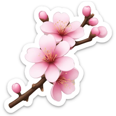 Japanese cherry blossom on branch  sticker