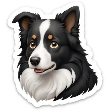 Border collie named Sherlock  sticker