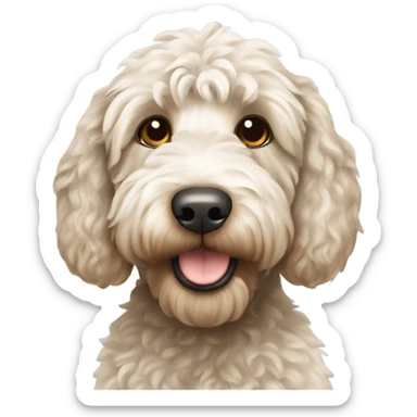 Labradoodle wearing white jersey sticker