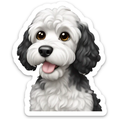 Dog black cockapoo with white chest sticker