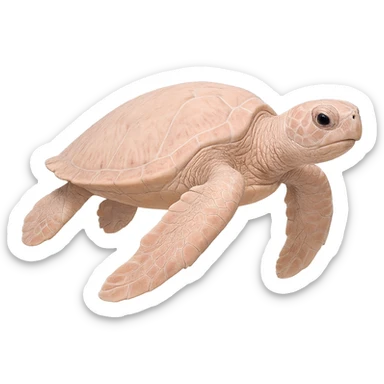 realistic light pink sea turtle, variation 4 sticker