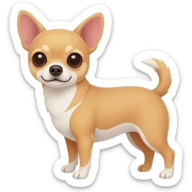 Chihuahua beige et blanc au ventre sticker