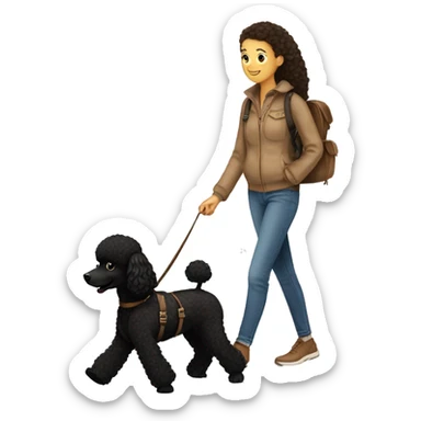 3 legs One Small unshaved Black Poodle with brown harness is walking with a pretty girl sticker