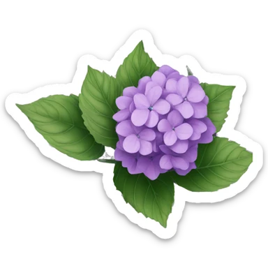 Purple Hydrangea sticker