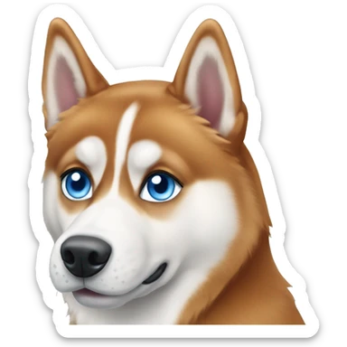 Ginger dog Siberian husky with blue eyes sticker