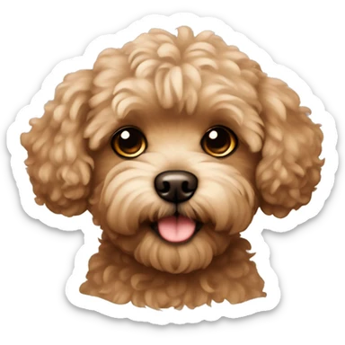 Brown maltipoo dog sticker