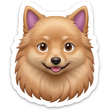 Un spitz lilac tan avec alopécie  sticker