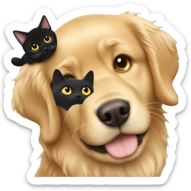 Golden retriever and black cat  sticker
