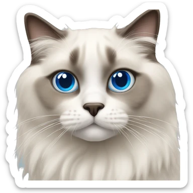 Ragdoll cat with blue eyes sticker