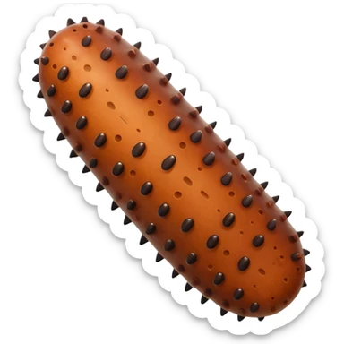 Sea Cucumber sticker