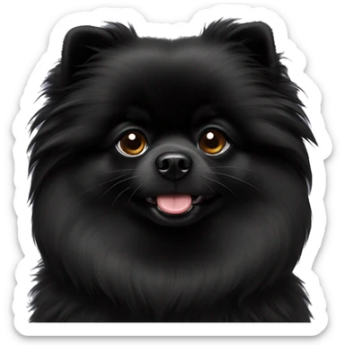 Solid black Pomeranian sticker