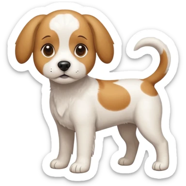 a full body white beagle x maltese x chi dog the size of a kelpie with light brown ears and a light brown patch on one eye sticker