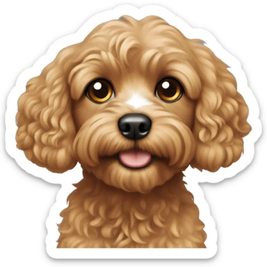 Cavapoo sticker