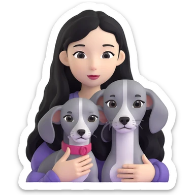 Slim Chinese girl with long black hair holding solid grey Italian greyhound with no white markings on nose sticker