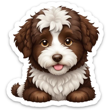 Chocolate Aussiedoodle sticker
