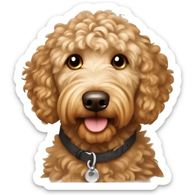 Goldendoodle-Shorthair, Mowhawk Curly top brown eye long eye-lashed short-fur male goldendoodle sweetie dog sticker