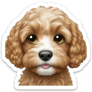 Cavapoo puppy sticker