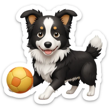 border collie playing with a toy sticker