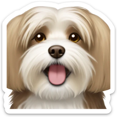 Havanese small dog with brown and blonde fur and happy expression sticker